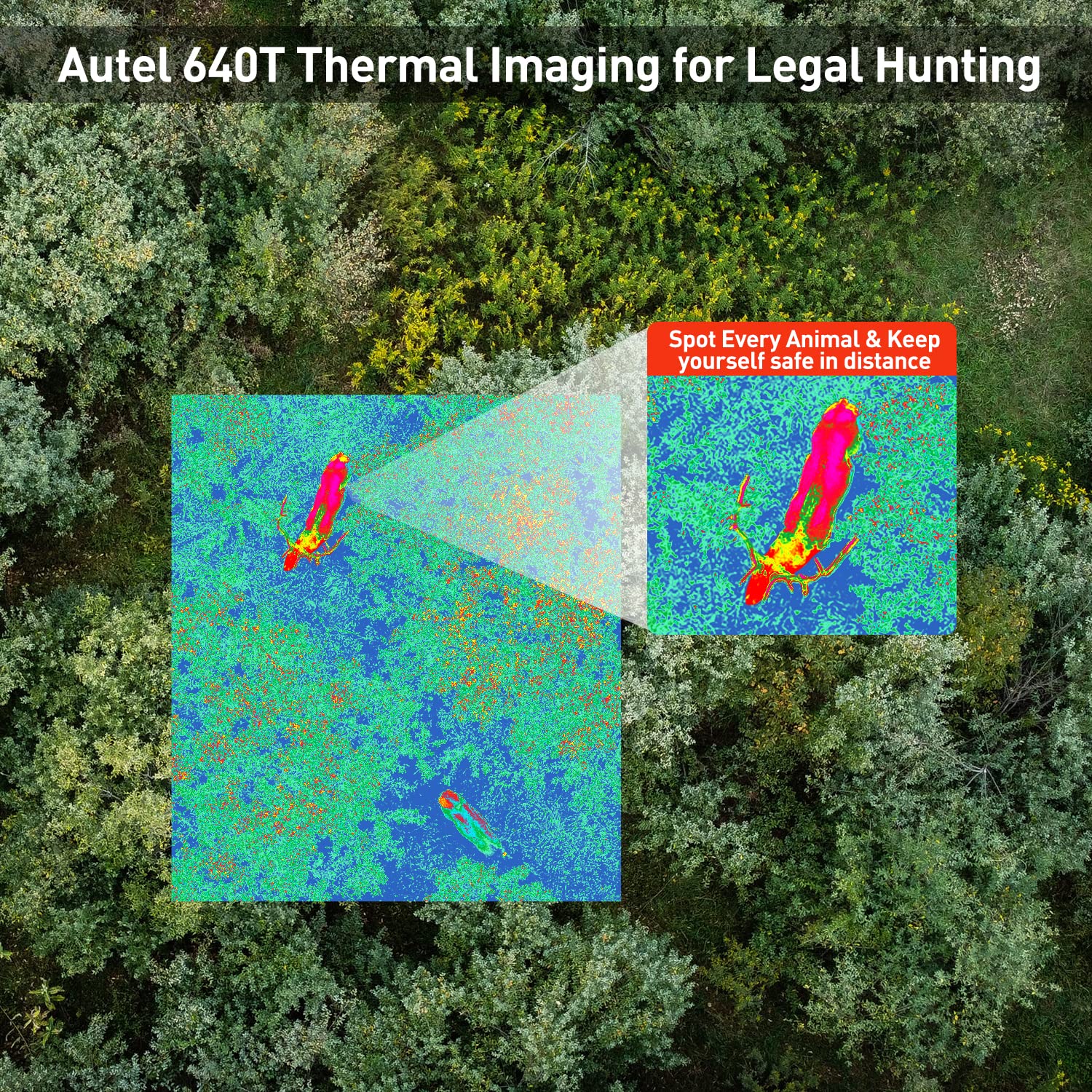 Autel 640T Thermal Imaging for Legal Hunting